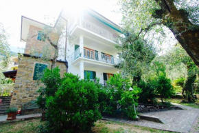 Отель Large apartment in an olive trees garden, Мальчезине